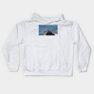 Point Dume State Beach Kids Hoodie